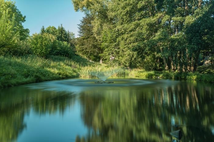 Teich im Park