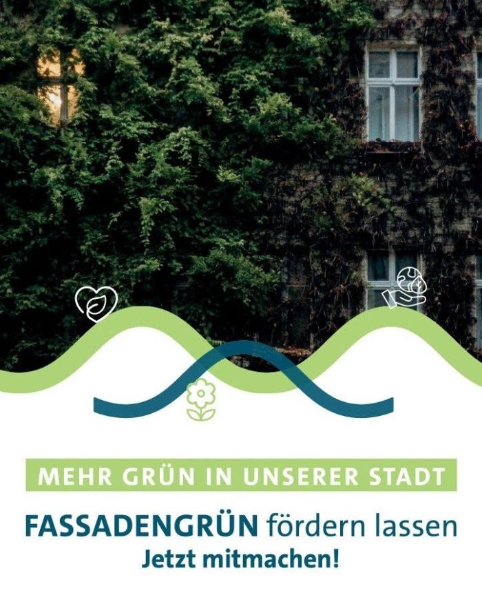 Mehr grün in unserer Stadt