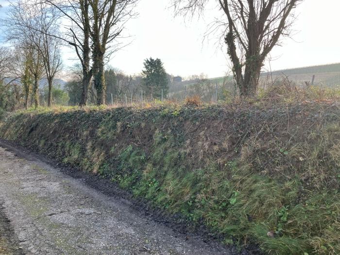 Foto: Stadt Neckarsulm 