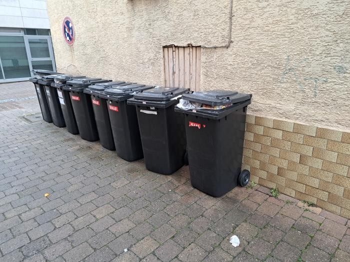 Alte Restmülltonnen stehen aufgereiht an einer Hauswand. Foto: GVD