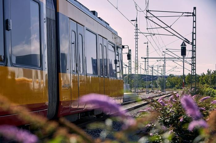 Eine Stadtbahn fährt auf Gleisanlagen. Foto: AVG