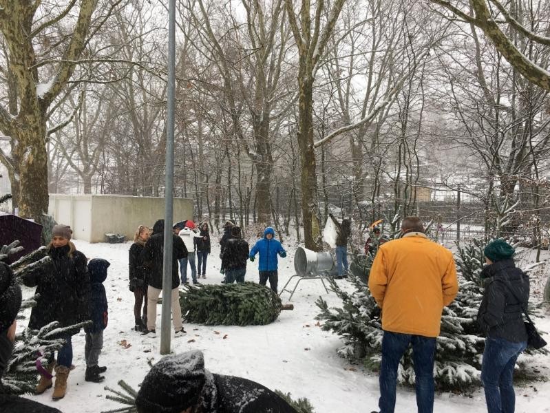 Weihnachtsbaumverkauf im schneebedeckten Pichterich-Areal 