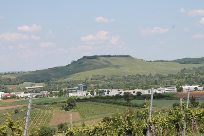 Blick vom Stiftsberg auf den Scheuerberg Blick vom Stiftsberg auf den Scheuerberg mit Trendpark und Weinreben im Vordergrund