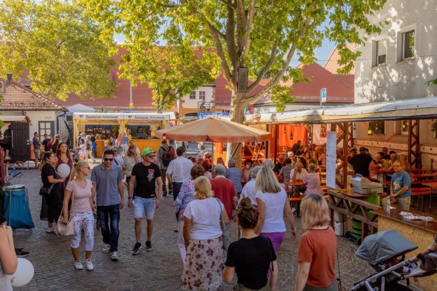 Festbesucher schlendern beim Ganzhornfest durch die Schlossgasse.