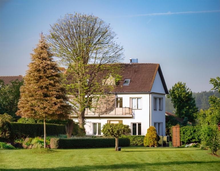 Große Bäume stehen in einem Garten vor einem Einfamilienhaus.