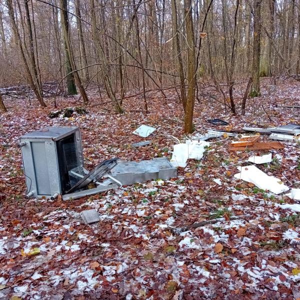 Das Bild zeigt den abgeladenen Müll im Wald