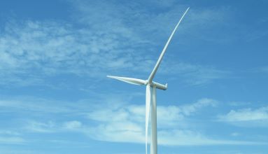 Eine erleuchtete grüne Weltkugel steht auf einen Waldboden auf der Erde. 