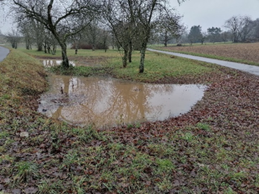 Geflutete Mulden an der Kalbenstraße