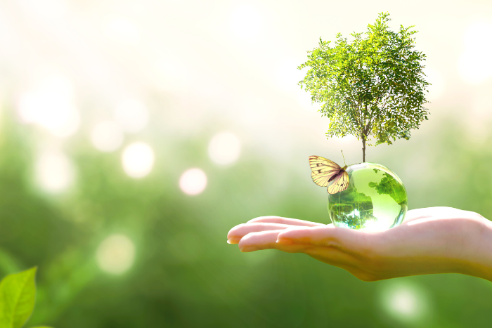 Eine gläserne Weltkugel liegt auf der Handfläche eines Menschen. Auf der Kugel sitzt ein Schmetterling, aus der Kugel wächst ein Baum mit grünen Blätter.