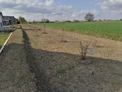 Zu sehen ist die eingetiefte und bepflanzte Mulde in der Merowinger Strajße