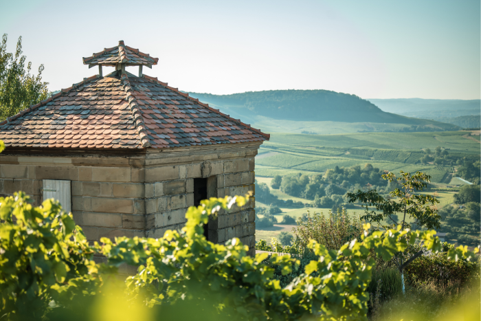 Weinberghäuschen am Neckarsulmer Scheuerberg mit Blick auf die umliegenden Weinberge.